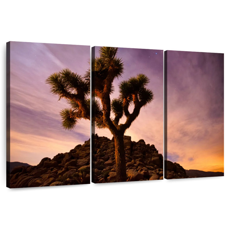 Harnek Dusky Joshua Tree, 24" H x 38" W