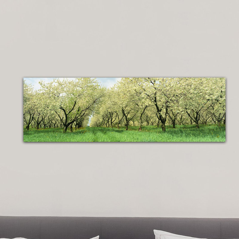 Rows of Cherry Tress in an Orchard, Minnesota - reproduction d'art sur toile tendue, H 16 po x l 48 po x P 1,5 po