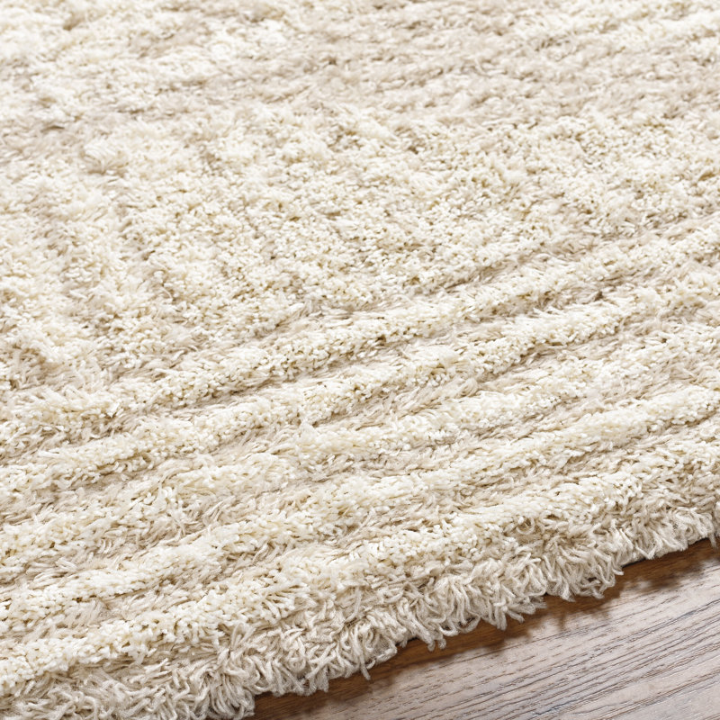 Hepfer Machine Woven Polyester Shag Rug, Rectangle 7'10" x 10'3"