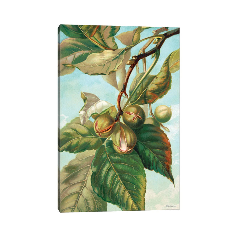 Tree Branch With Fruit I by Stellar Design Studio - Wrapped Canvas Gallery-Wrapped Canvas Giclée, 66.04 cm H x 45.72 cm W