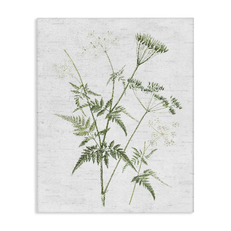 Art mural sur toile Soft Blooming Bud par lettré et doublé, H 30 po x l 24 po
