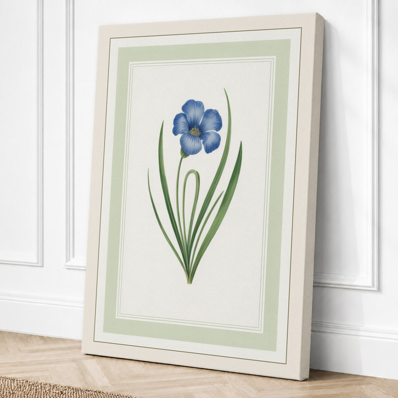 Blue Flower Study Botanical - Wrapped Canvas, 24x16 - 61.0 x 40.6 cm, Cream Border