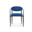Liam Set of 2 Velvet Dining Chairs-1816287853
