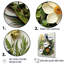Herbes, minimalisme, impression-1492661178-1492661155