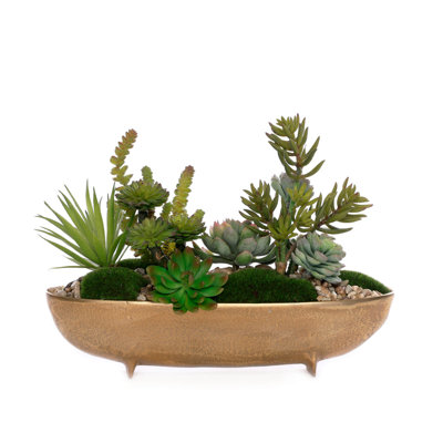 11'' 1 Plant