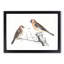 Goldfinches by Johan Teyler - Picture Frame Painting Print-55608796-55608801