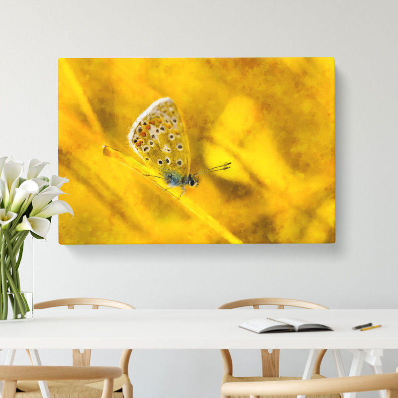 Yellow Butterfly - Wrapped Canvas, 40cm H x 60cm W x 3cm D