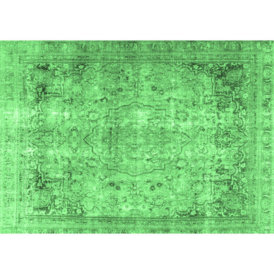 Oriental Indoor Rug