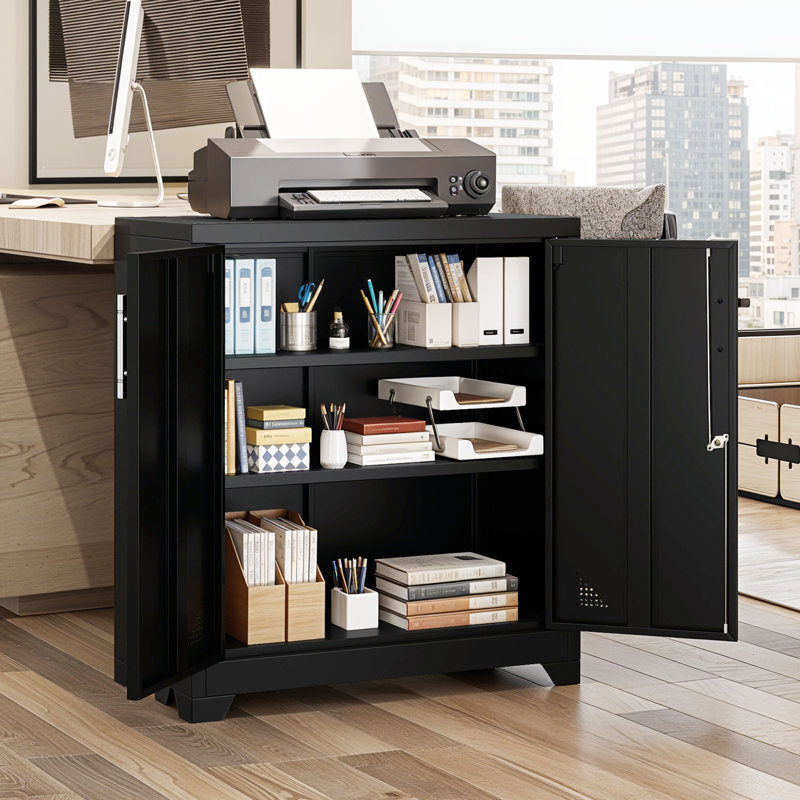 Arild 2 -Door 2 -Shelf Storage Cabinet Steel, Black