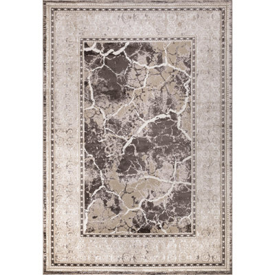 Ashlesha Oriental 200cm X 290cm Area Rug