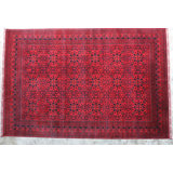 Afghan Wool Oriental Area Rug in Red/Navy Blue