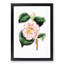 Pink Camellia Flowers - Picture Frame Painting Print-55583695-55583692