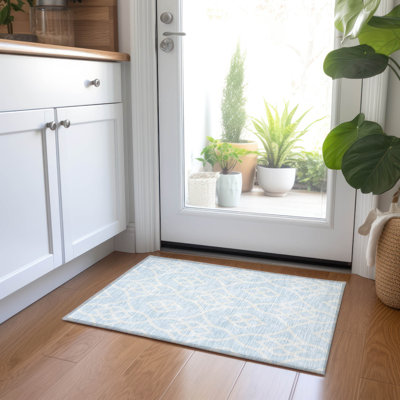 Malek Indoor/Outdoor Area Rug with Non-Slip Backing
