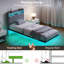 HOMCOM Bed Frame Floating Bed Frame with RGB LED Lights Grey-967113896