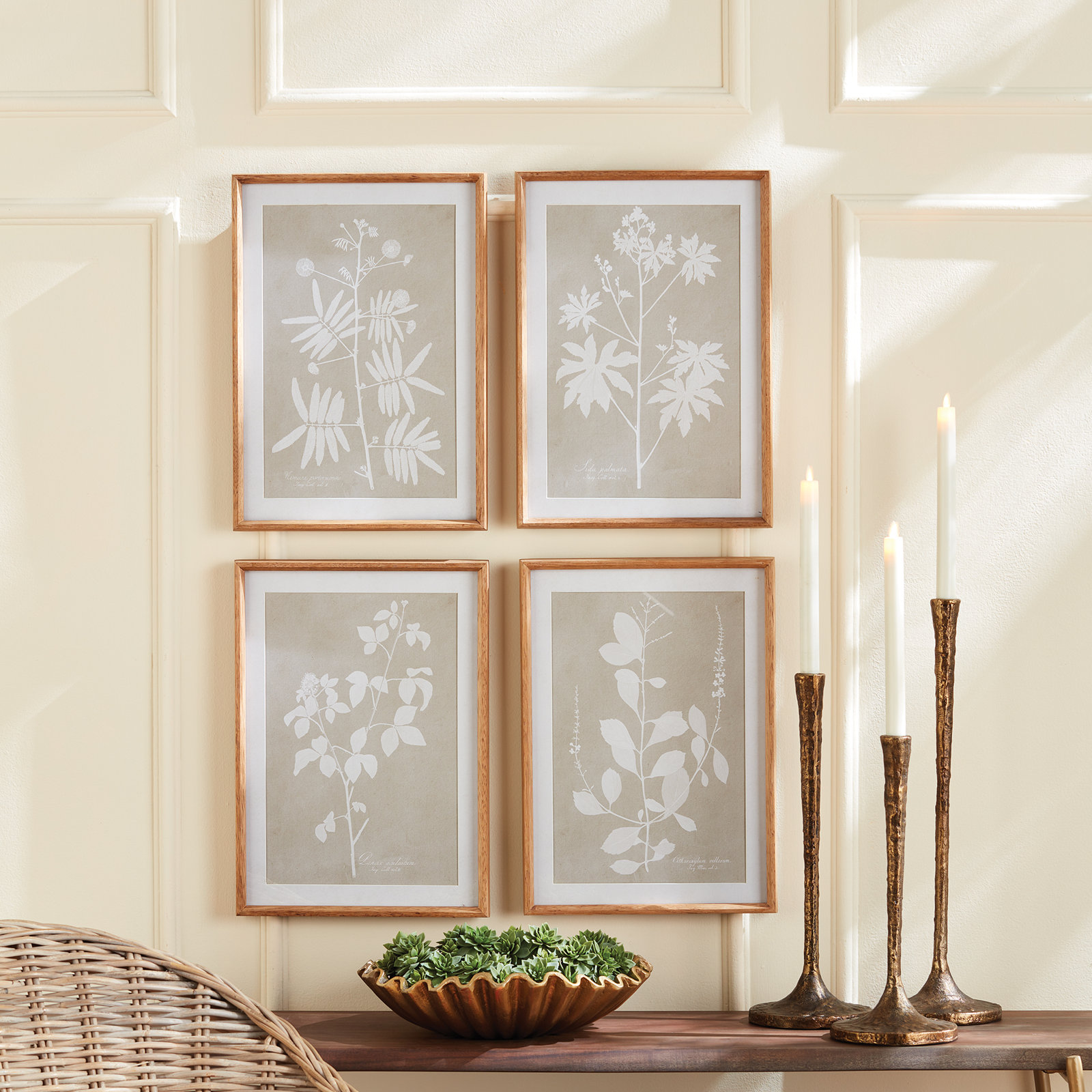 Foliage Study 4-Piece Print Set