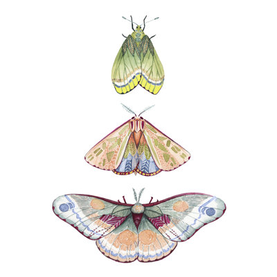 Moth Fairies II