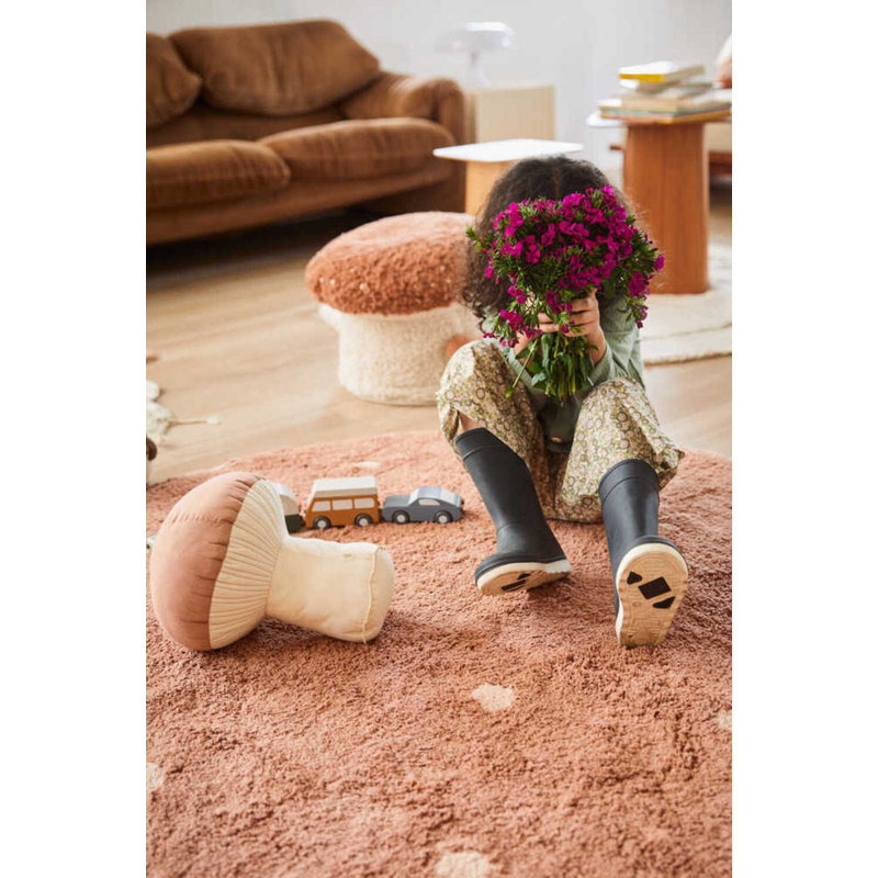 Cushion Boletus
