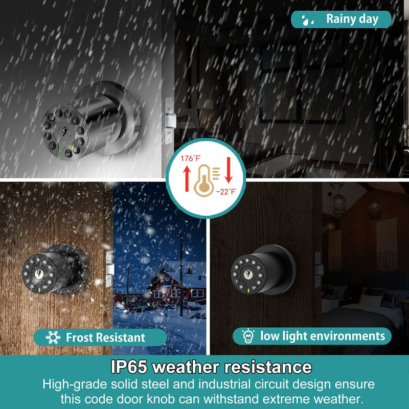 Matte Black Keypad Door Knob with Key Lock