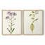 Mauve Garden Flowers III - reproduction encadrée de qualité supérieure - prête à être accrochée - aucun clou requis - aucun clou requis-1919174136