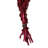 30" Amaranthus Bundle, Preserved-99849543