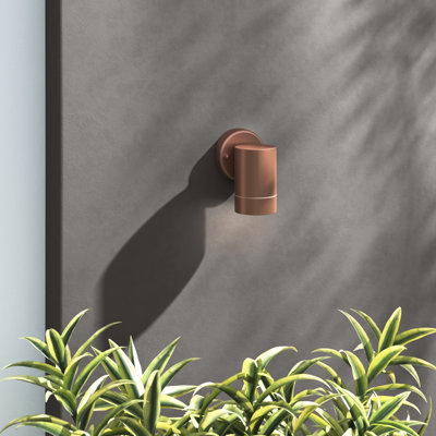 Alysia Outdoor Armed Sconce