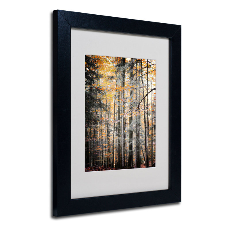 « tons », reproduction de photo sur toile encadrée Halke, H 14 po x l 11 po x P 0,5 po, Noir