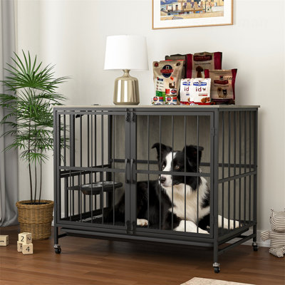 Engelbrecht Manufactured Wood Pet Crate