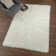 Petrey Indoor Rug