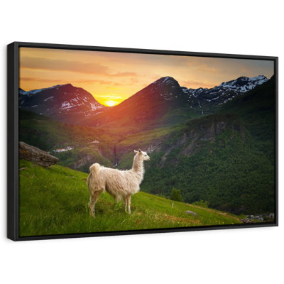 Animal «Mountain Llama»
