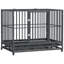 Chenil en métal robuste avec cage verrouillable