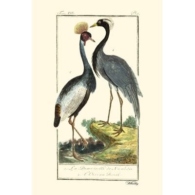 Buffon Cranes & Herons II