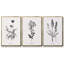 Ensemble de 3 pièces encadrées sur toile Simply Imperial-97711250-97711249