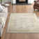 Bardolph Oriental Area Rug
