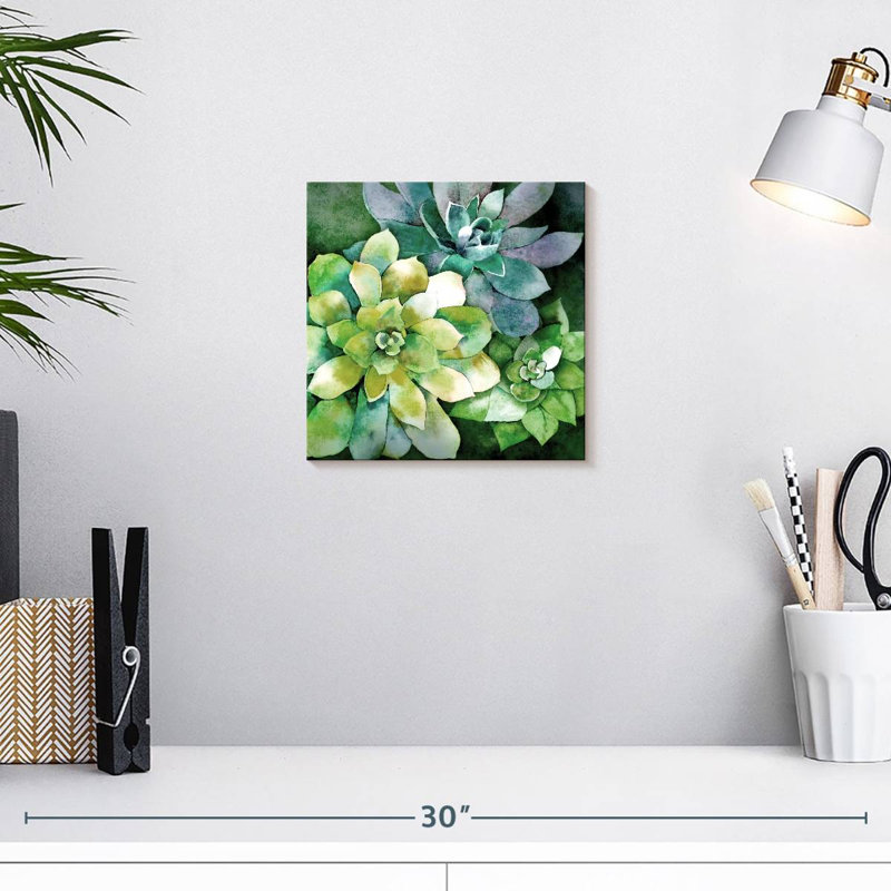 Harnek Summer Succulents, H 10 po x l 10 po