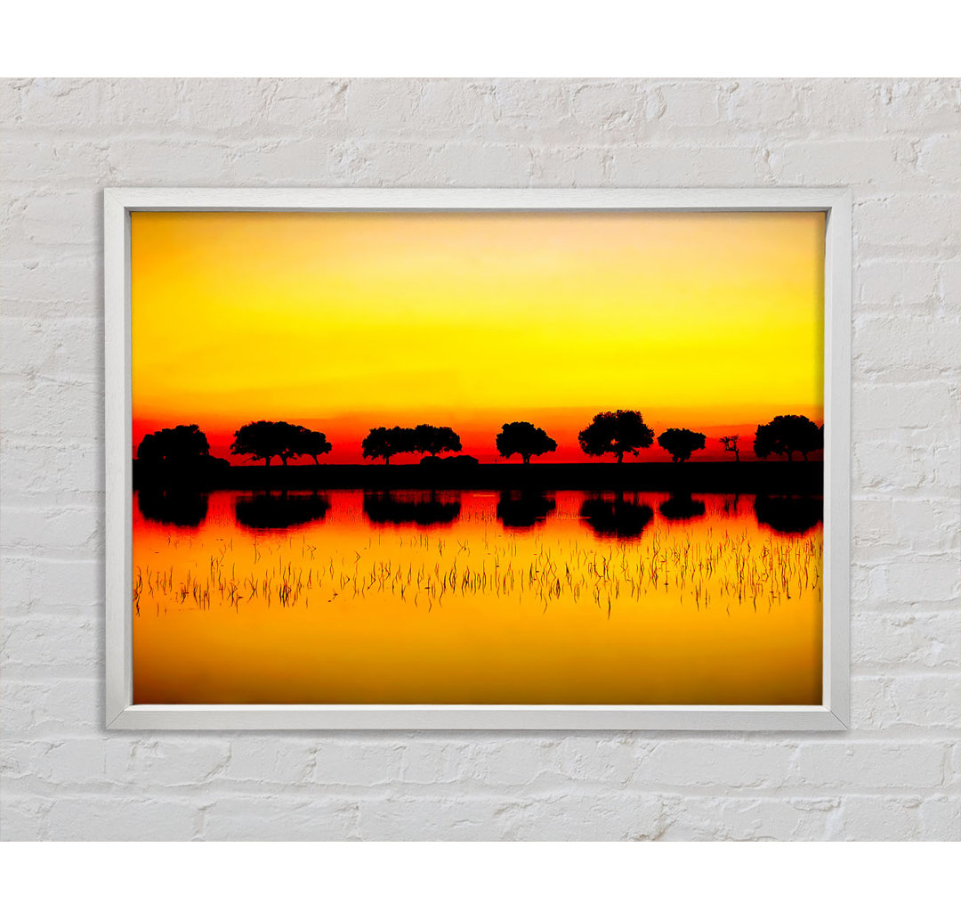 Reflections Of The Sunset Trees Golden - Single Picture Frame Kunstdrucke auf Leinwand