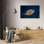Art sur toile tendue par Astoria Grand Gabriel, galerie Barathieu: Blue Triggerfish