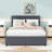 Wood Upholstered Platform Bed with Drawers, Trundle and Headboard-1639318665-1639318667