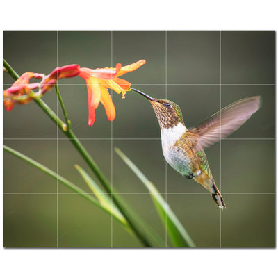Bird Photo 6'' x 6'' Satin Ceramic Decorative Mural
