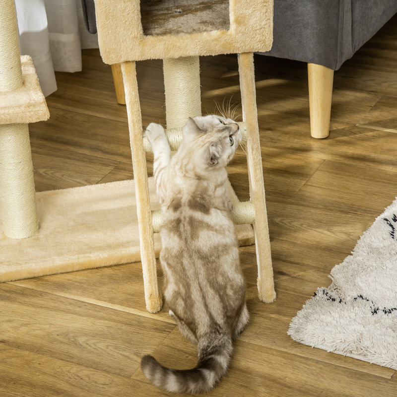 Cat Perch