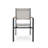 Wailey Teak Premium All-Weather Wicker Outdoor Stacking Dining Armchair