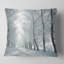 Oreiller pour le matin de la forêt winter country-29602308-29602305