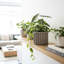 Pot Planter