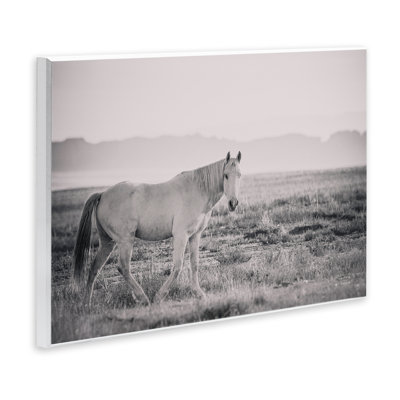 «Calme Atmosphere with Horse», art mural par Nathan Larson