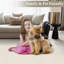 Tapis de couloir uni 2 x 6 po-911287274