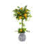 Lemon and Vine Topiary in Decorative Ceramic Vase