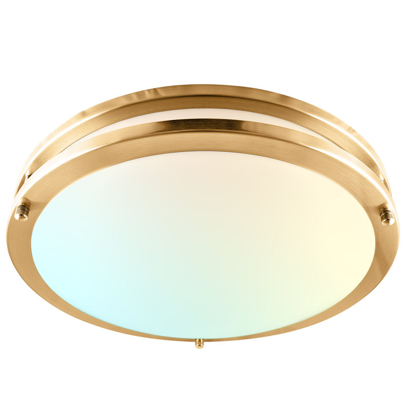 Eryx Acrylic LED Flush Mount Ceiling Light, Gold, 14" H x 14" W x 3.5" D