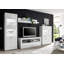 Becquere TV Stand