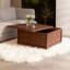 Table basse avec rangement