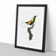 A Magnificent Bird of Paradise by Jacques Barraband - Framed Print-55453485-55453486