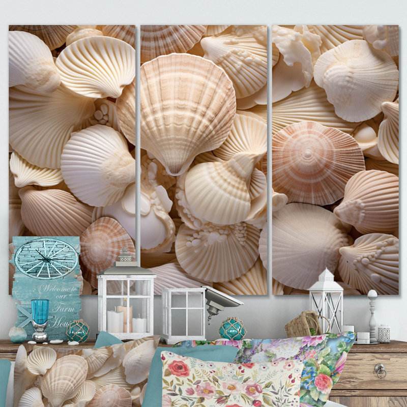Beige palourde, coquillage, symphonie I sur toile, 3 pièces, H 28 po x l 36 po x P 1 po